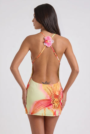 Lucia